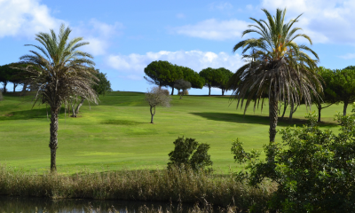 Golf course at Boavista Golf Club in Portugal with blue skies and palm trees